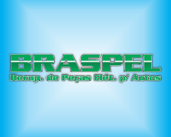 Braspel Com. e Recuperadora de Peças Eletrônicas para Auto